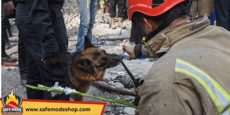 سگ‌های آتشنشان چه کارهایی می‌توانند انجام بدهند؟ سگ پلاسکو
